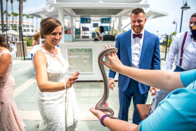 Bride and groom petting a snake