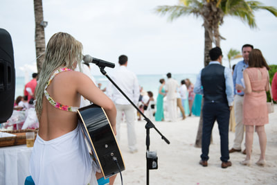Musician at the reception