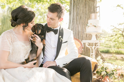 Bride and groom with a dachshund 